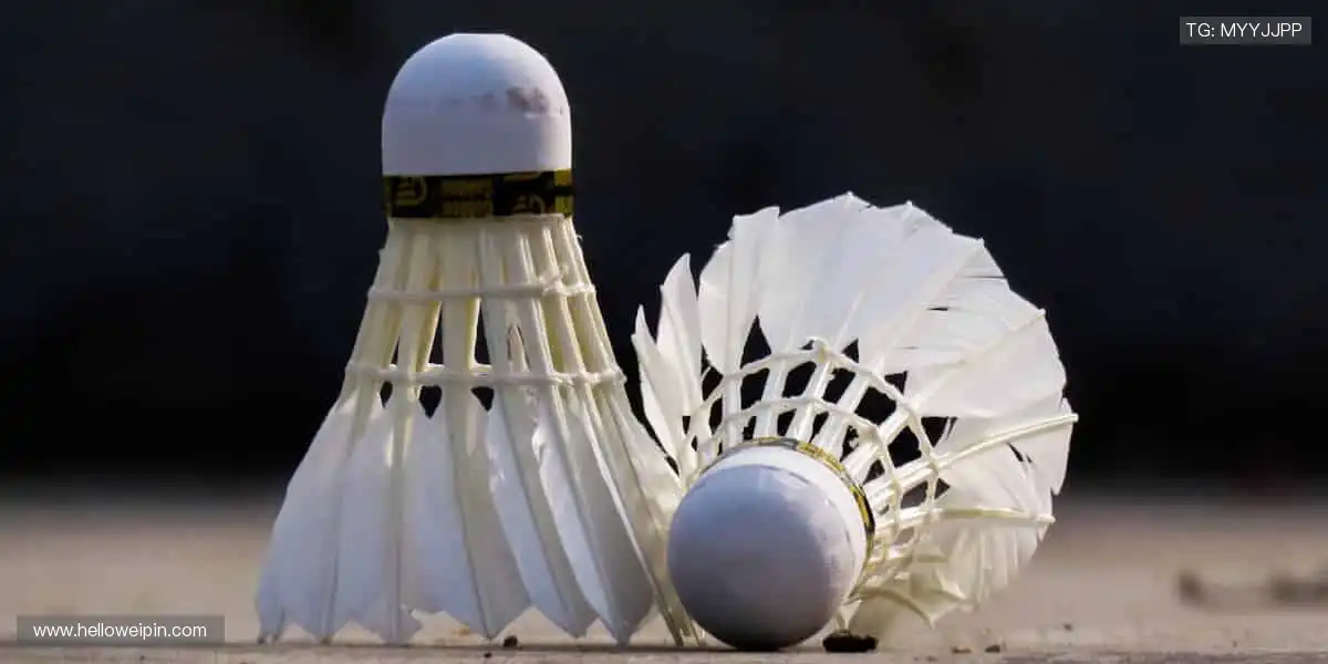 🎮 从装备到收藏，一站式满足你的体育情怀！